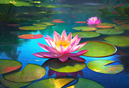water lily-<br>20240307-a 
