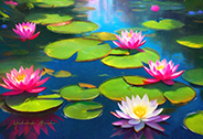 water lily-<br>20240307-d