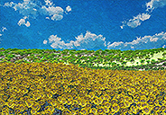Sunflower hill-01-a