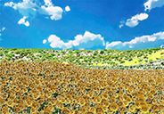 Sunflower hill-01-b