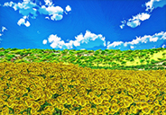 Sunflower hill-01-c