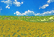 Sunflower hill-01-d