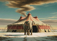 Circus tentt-2026031-b 