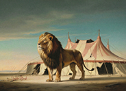 Circus tentt-20260808-m
